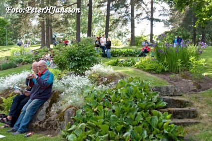 Publik i blinkenbergsparken